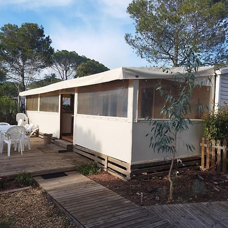 Mobil Home A Louer Dans Camping Des Cigales Le Muy 5 Etoiles Zewnętrze zdjęcie